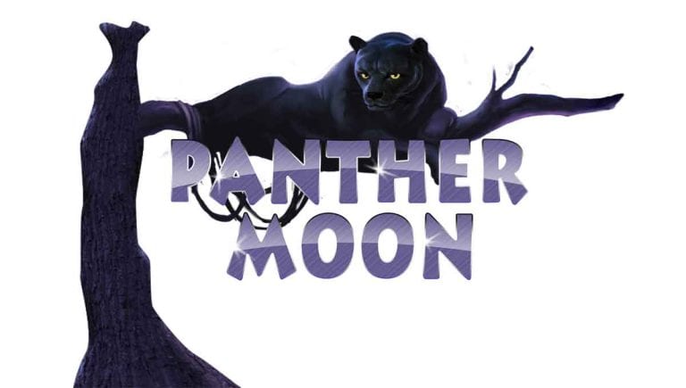 Panther Moon: Keajaiban Hutan di Tengah Malam