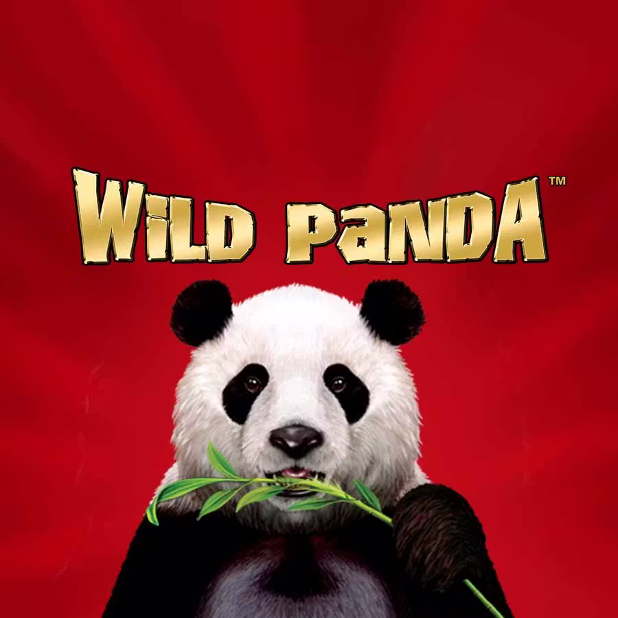 Petualangan Wild Panda yang Bikin Betah Main Lagi